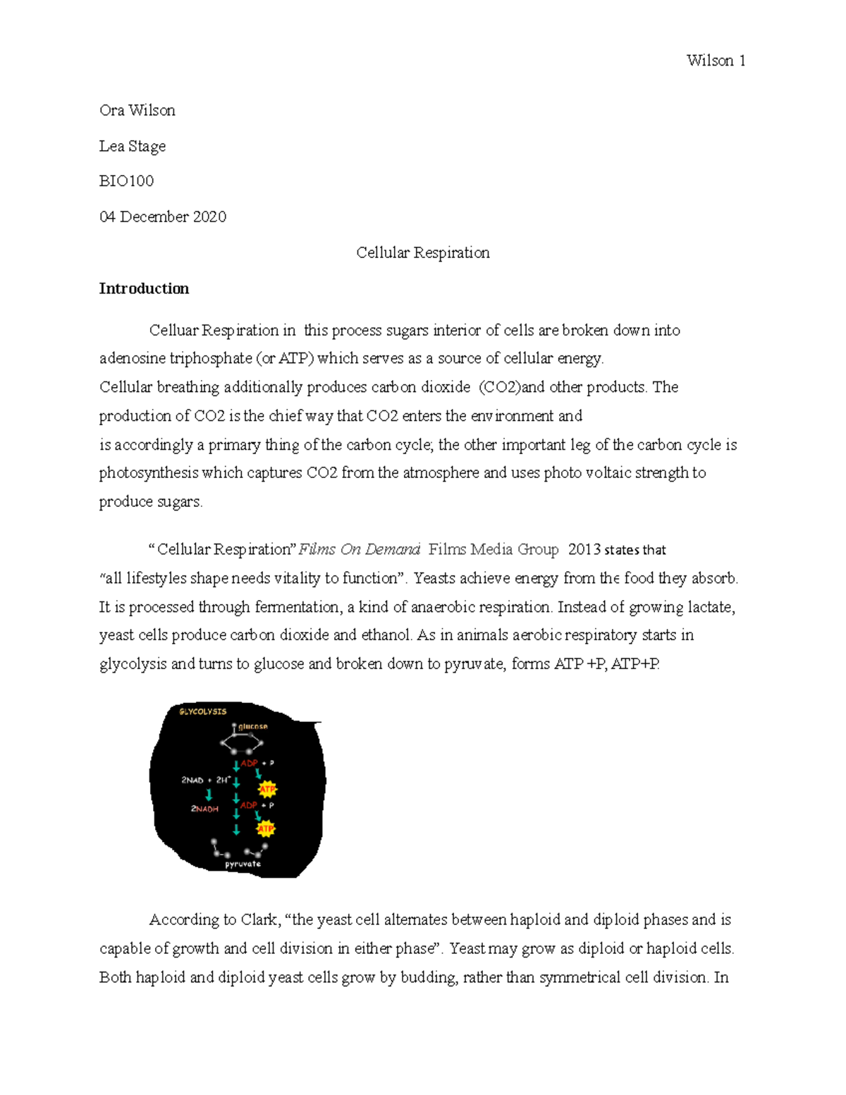 Cellular Respiration - BIO Lecture Notes & Experiment Analysis - Studocu