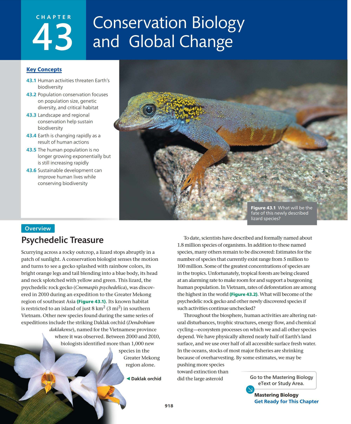 Chapter 43: Conservation Biology and Global Change - Key Concepts and ...