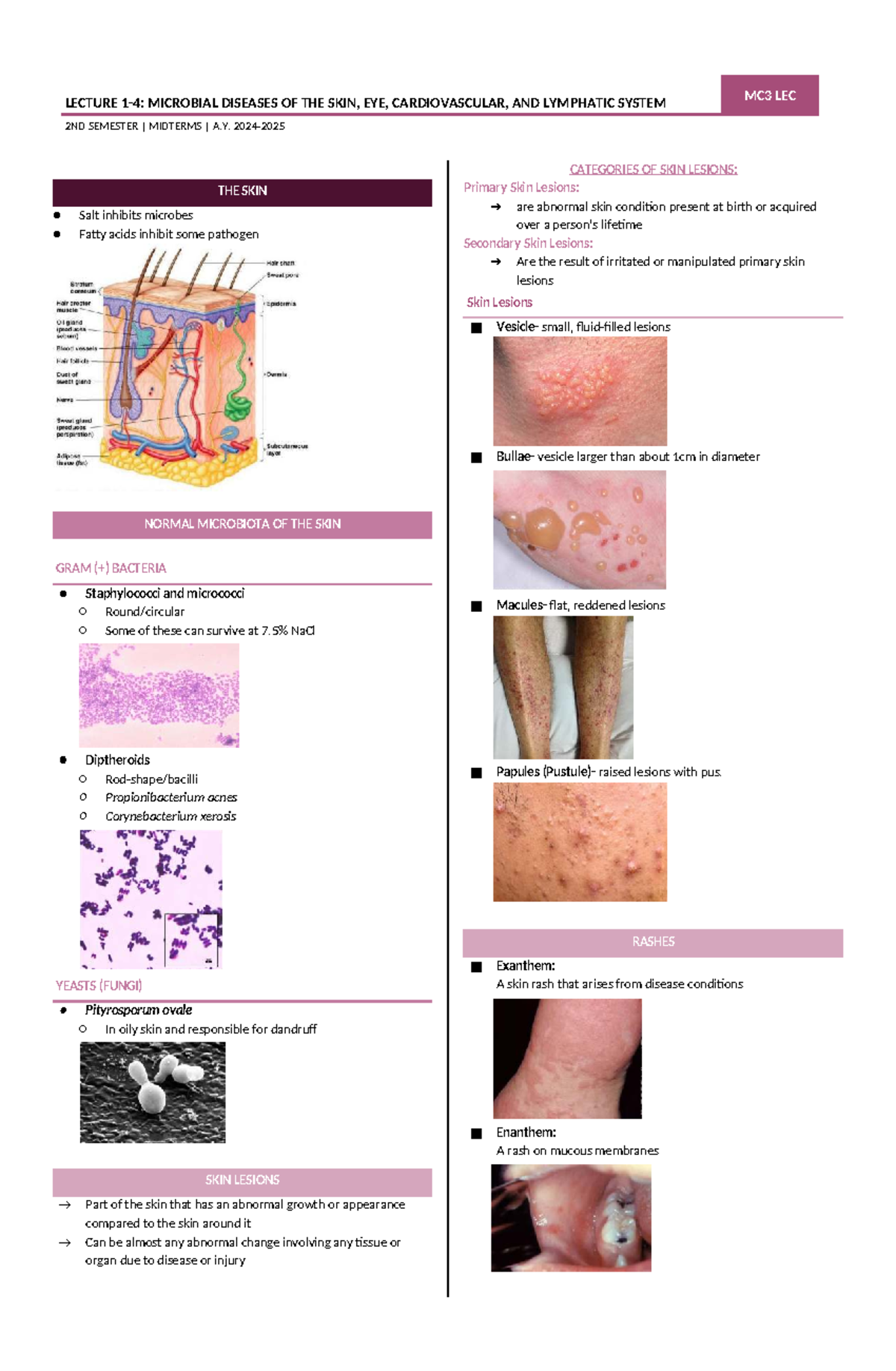 LECTURE MC3 MIDTERM: MICROBIAL DISEASES OF SKIN, EYE, CV & LYMPHATIC ...