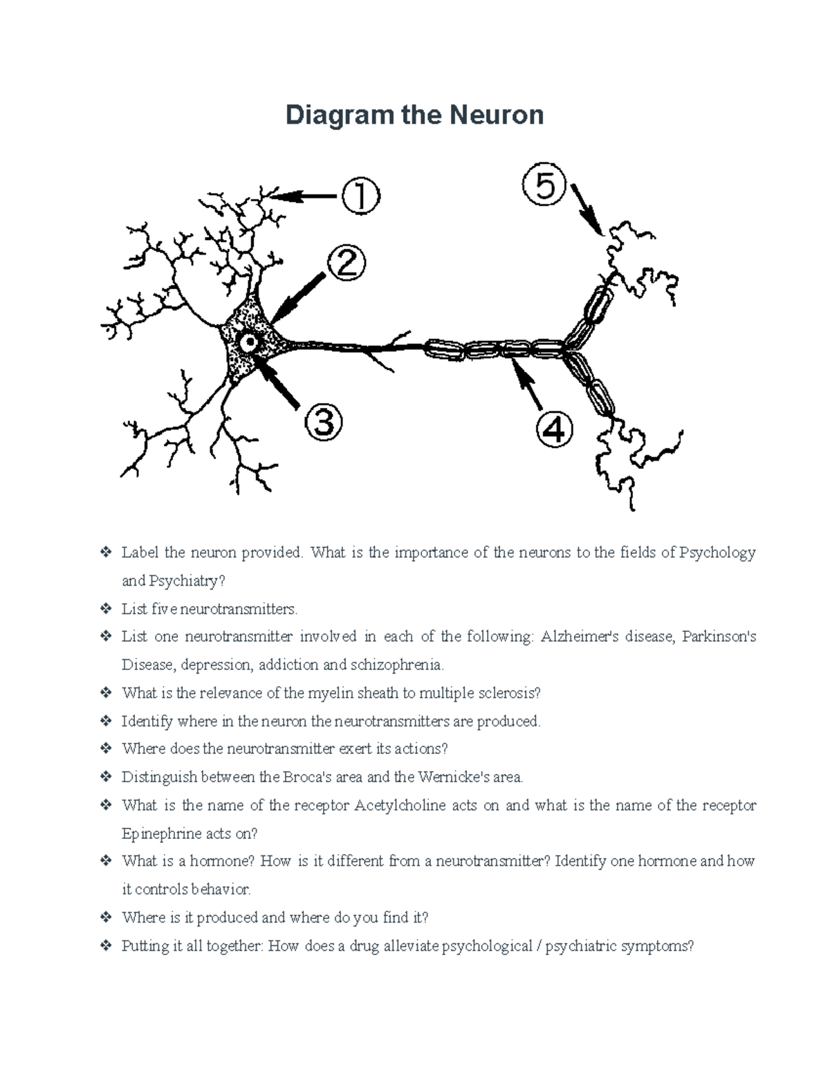 PSY 101: Assignment - Diagramming Neurons and Neurotransmitters - Studocu