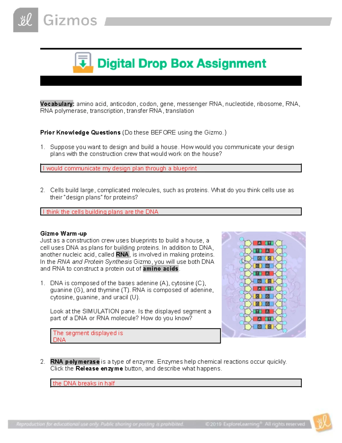 Unit 6: Coral Reefs 1 Gizmo Lab Simulation & Vocabulary Guide - Studocu