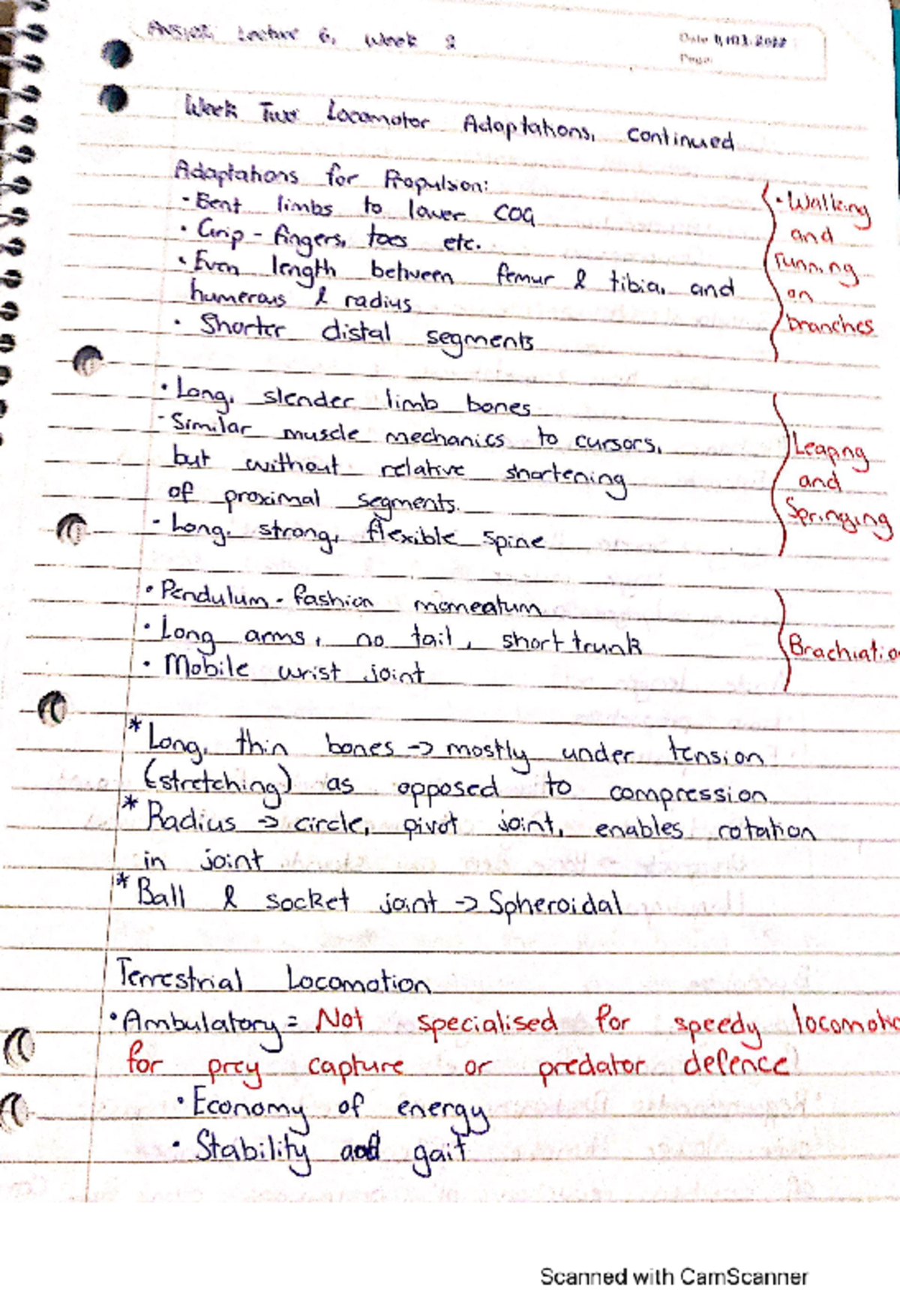 Ans102-2 - Lecture Notes for ANS102 Semester one 2022, lecturer Natalie ...
