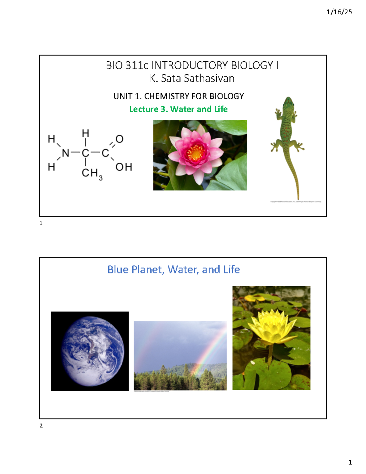 BIO 311c Final Exam Notes: Water, pH, and Biological Concepts - Studocu