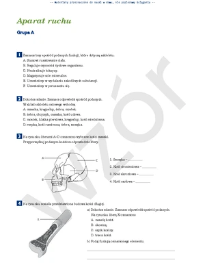 Puls Życia - Klasa 7 - Dział 1 - Test Funkcji Narządów - Studocu