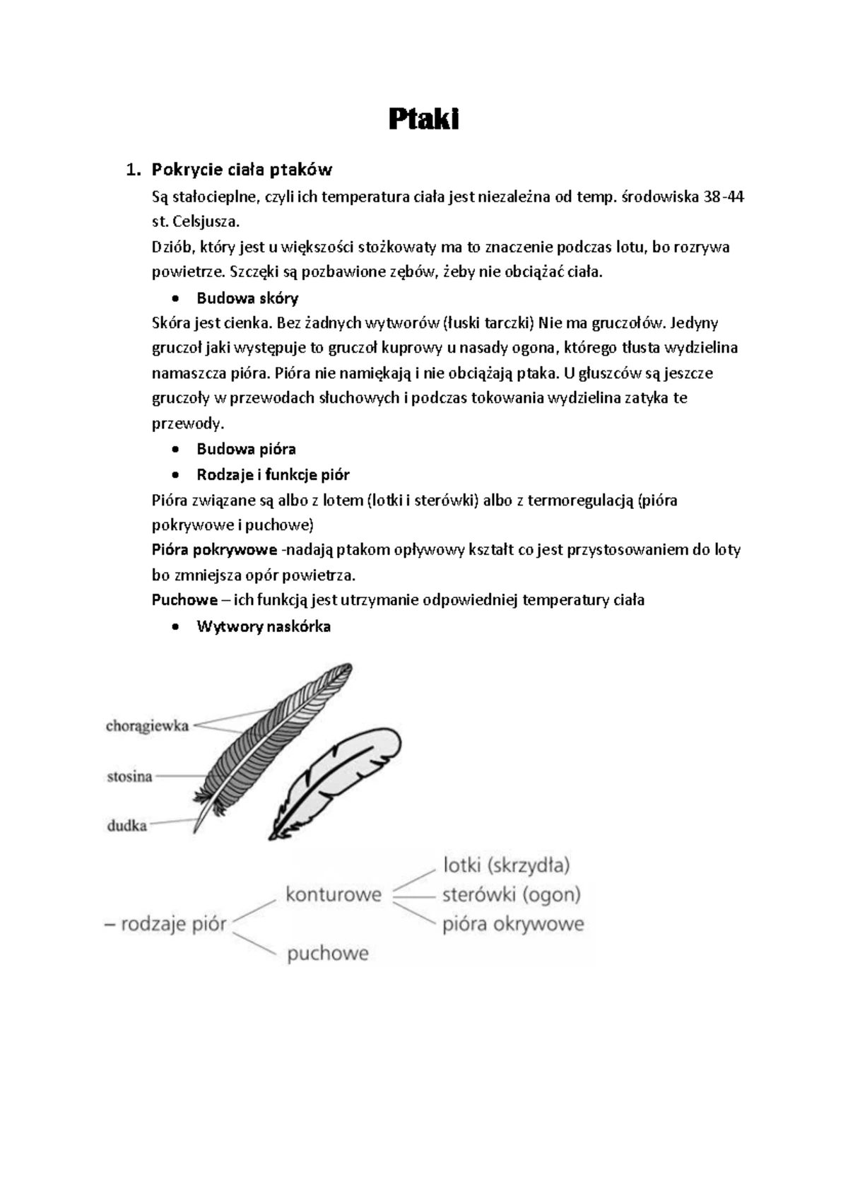 Gady Ptaki Ssaki Sprawdzian Liceum www.studocu.com