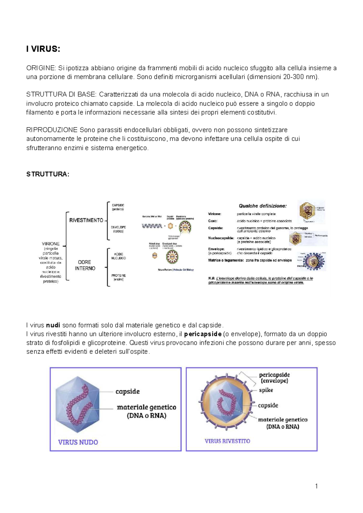 Virus: Origine, Struttura e Cicli di Replicazione (BIOL 101) - Studocu