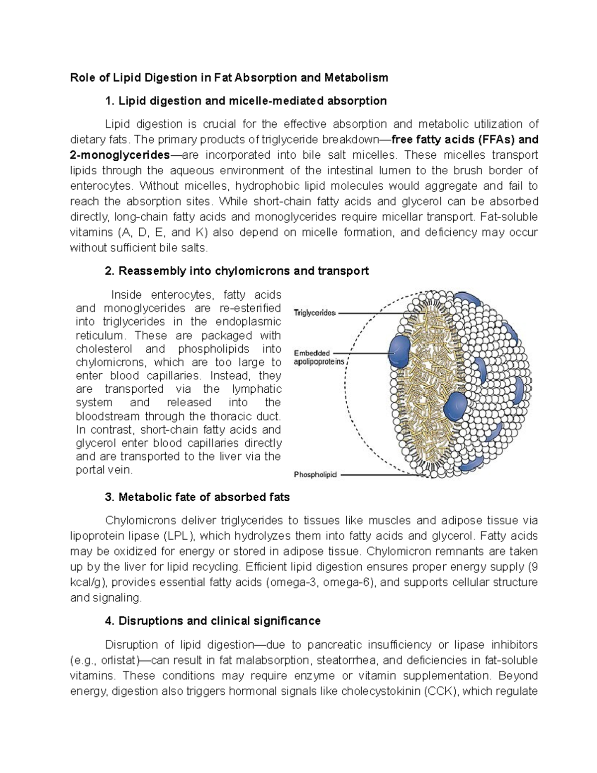 Lipid Digestion and Its Impact on Fat Absorption and Metabolism - Studocu