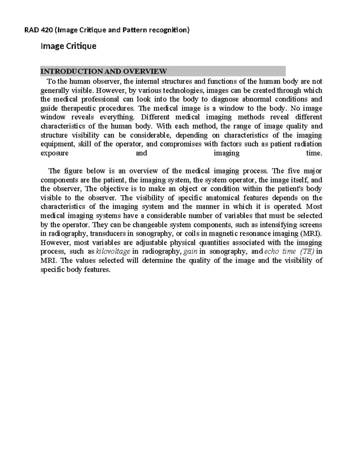 RAD 420 Lecture Notes: Image Critique & Pattern Recognition Overview ...
