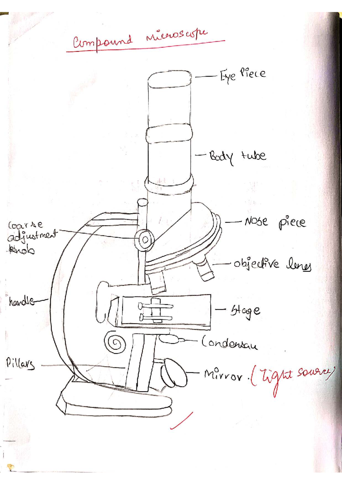 Physio Practical Write-Up: Compound Microscope & Pipette Analysis - Studocu