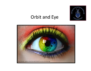 (01.24) Gross Anatomy Trans 3.03 Eyelid, Lacrimal Apparatus, Orbit ...