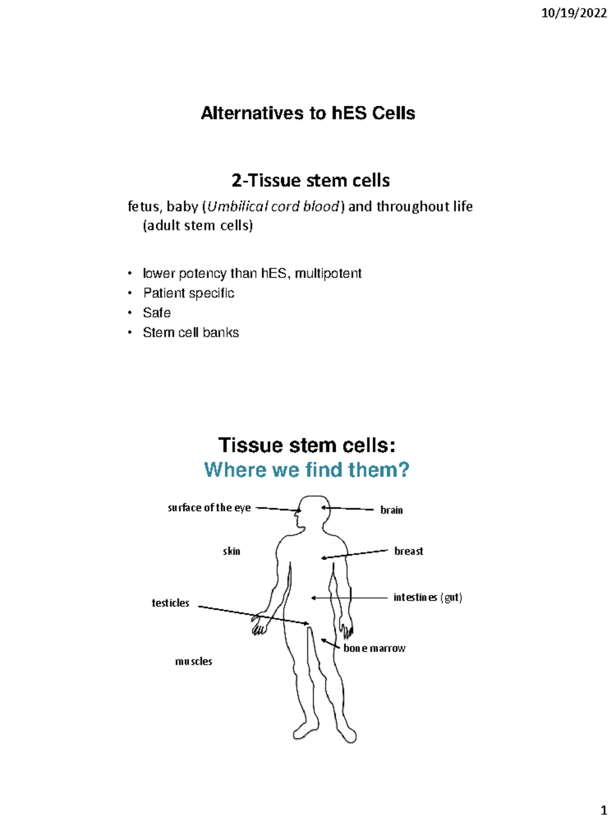 Week 1 Lecture 1: Introduction to Stem Cells and Their Applications ...