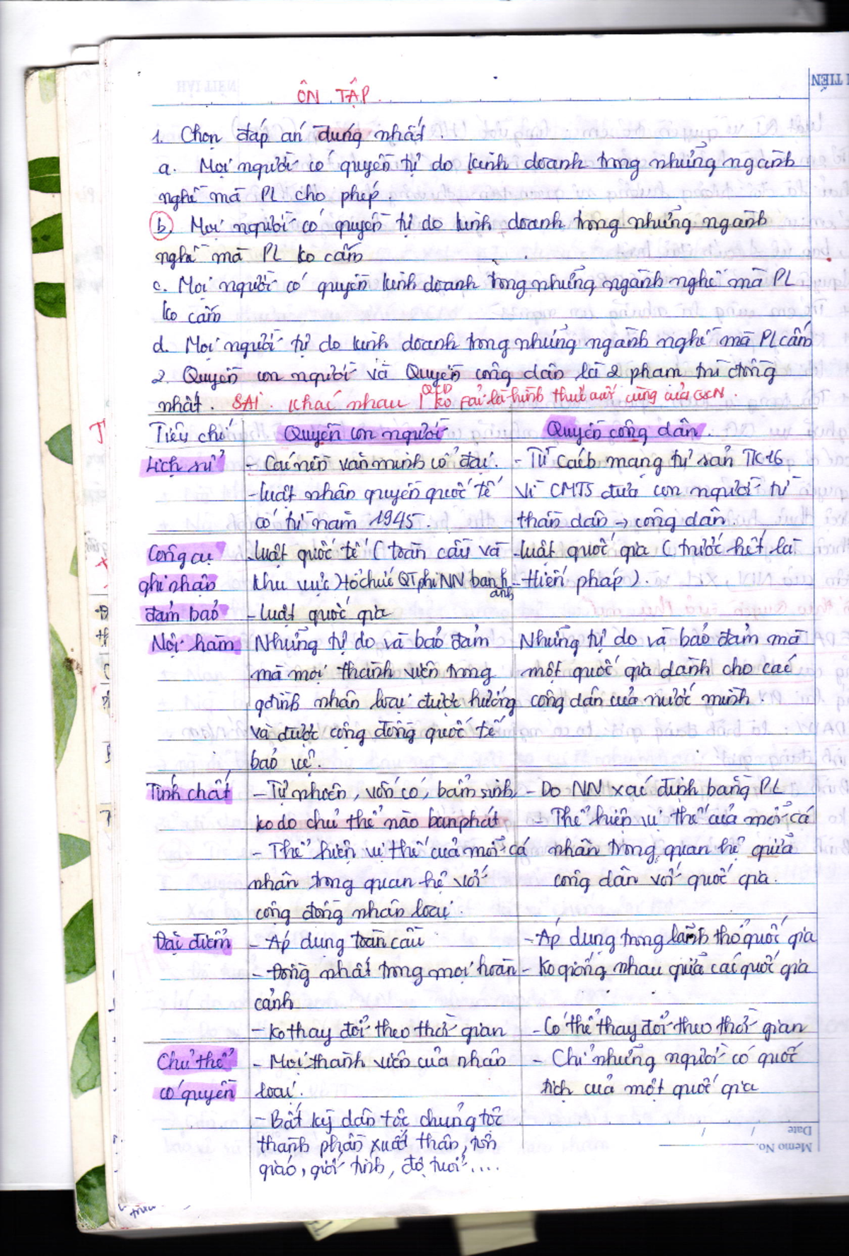 NSUI IVH: Comprehensive Study on Human Rights and Dignity - Studocu