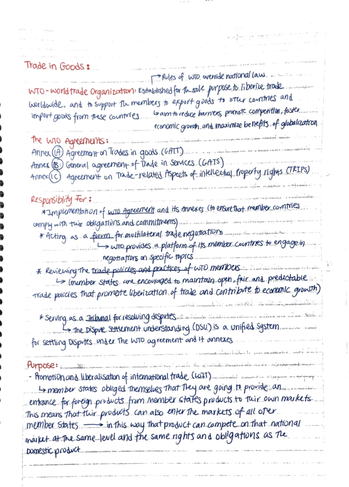 Law- Final Exam Study Notes and Key Concepts - Studeersnel