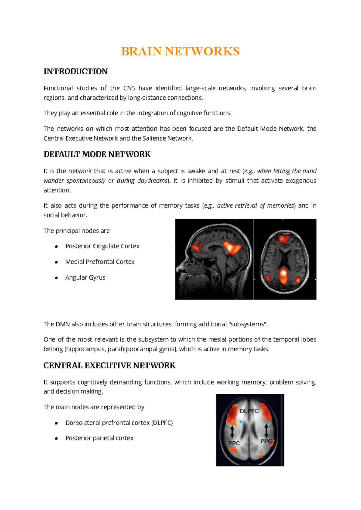 BRAIN NETWORKS INTRODUCTION: Anatomofunctional Basis of CNS Networks ...