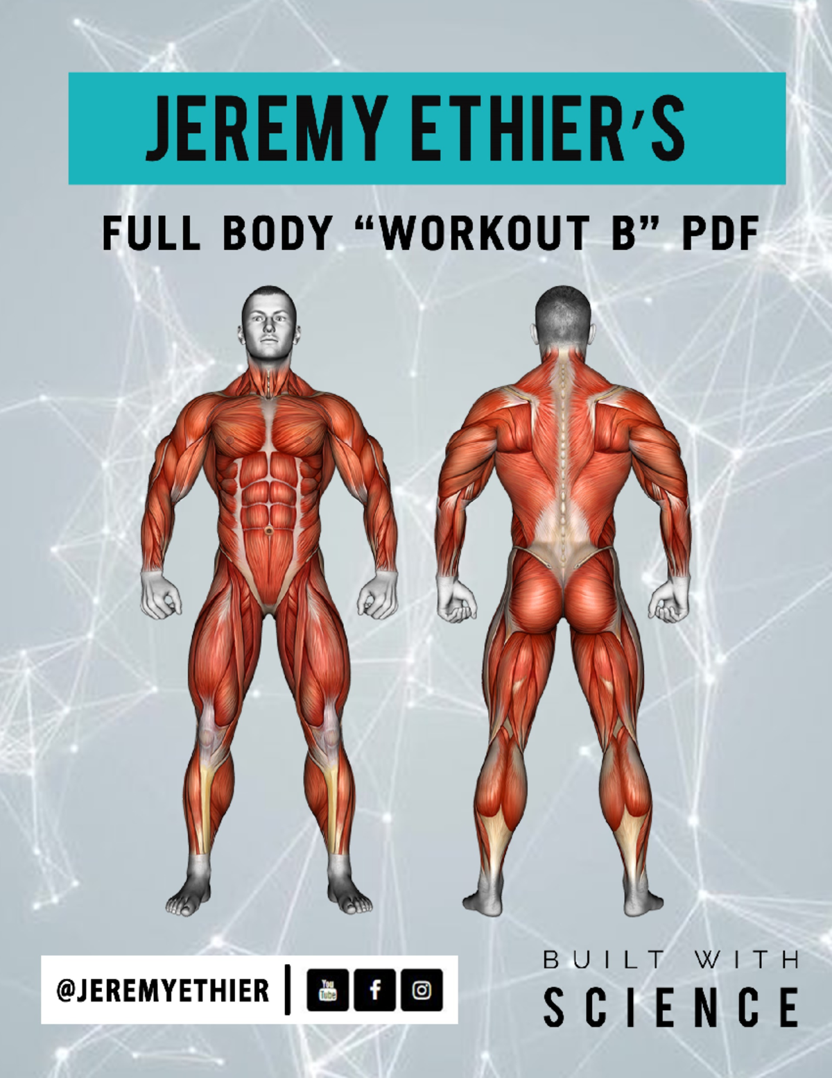 Full Body Workout B PDF - TABLE OF FULL BODY WORKOUT ROUTINE OVERVIEW ...
