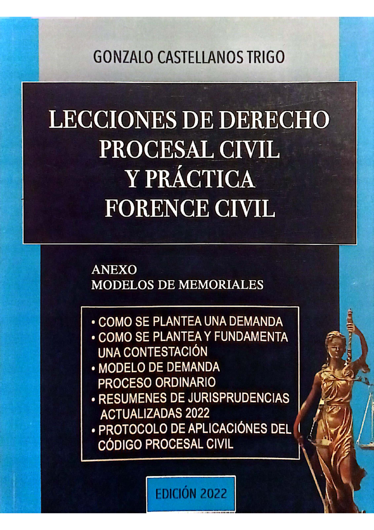 Unidad 1: El Proceso Judicial y Práctica Forense Civil - Resumen y Modelos - Document Preview