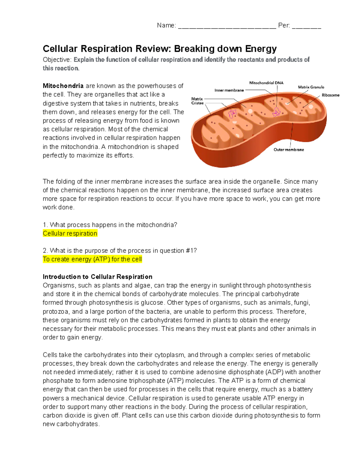 MM Cellular Respiration Review: Breaking Down Energy for Exam - Studocu