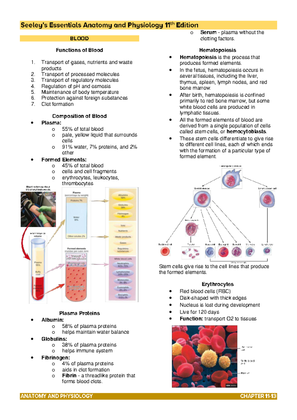 Chapter 11: Functions and Composition of Blood - ANAPHY - Studocu