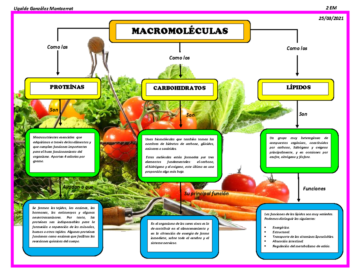 Mapa Conceptual de Macromoléculas: Carbohidratos, Lípidos y Proteínas