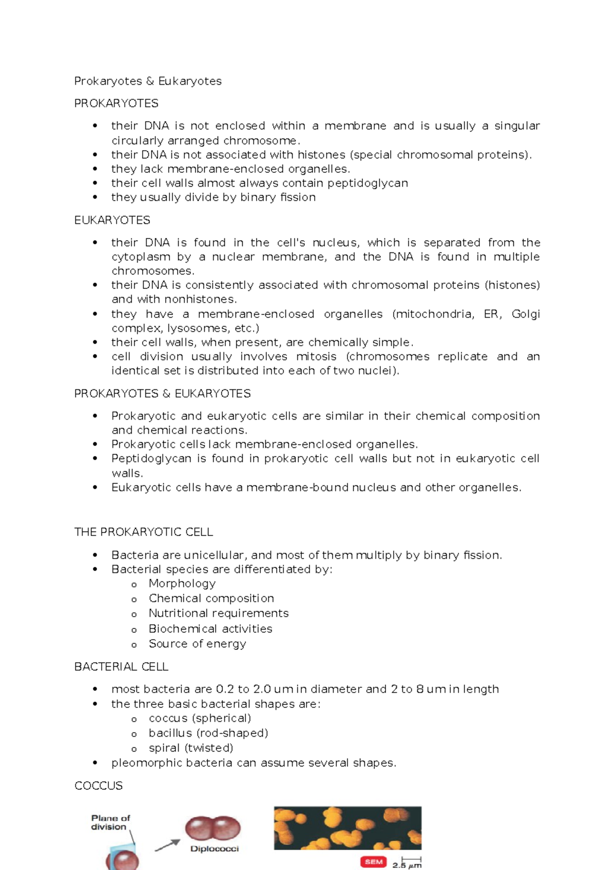 Microbiology Notes: Prokaryotes vs Eukaryotes (Prelim) - Studocu