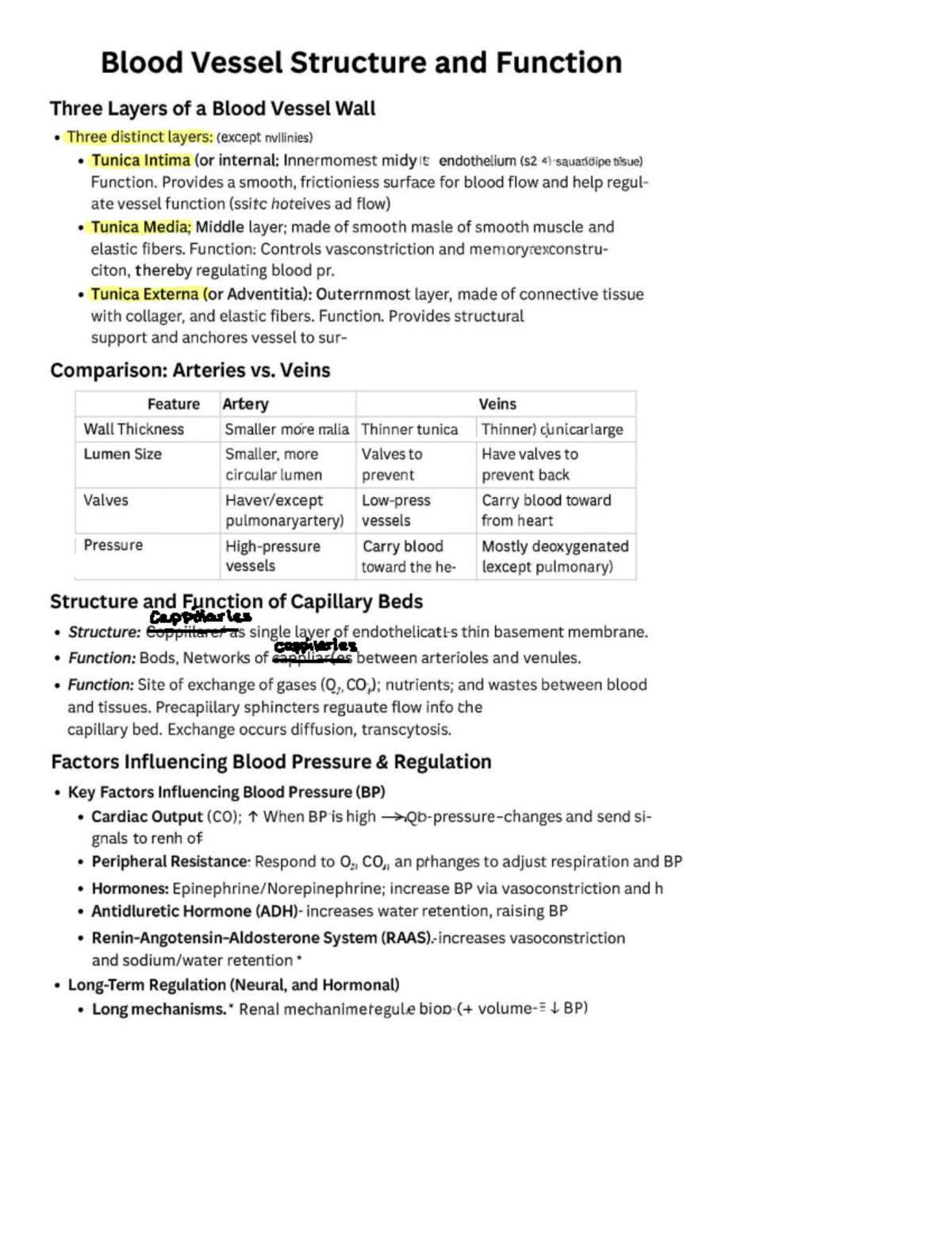 Final Exam Study Guide for ABC123: Blood Vessel Structure & Function ...