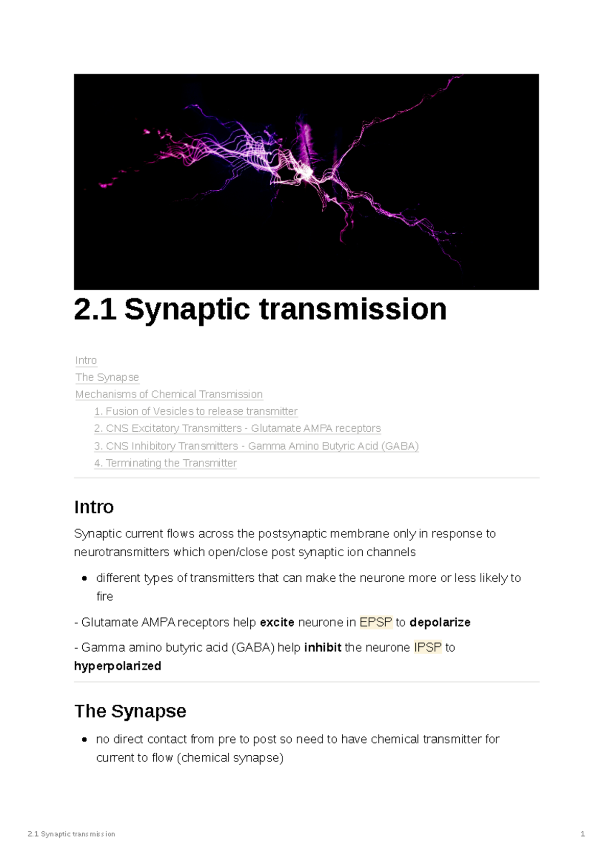 2.1 Synaptic Transmission Lecture Notes: Mechanisms & Effects - Studocu