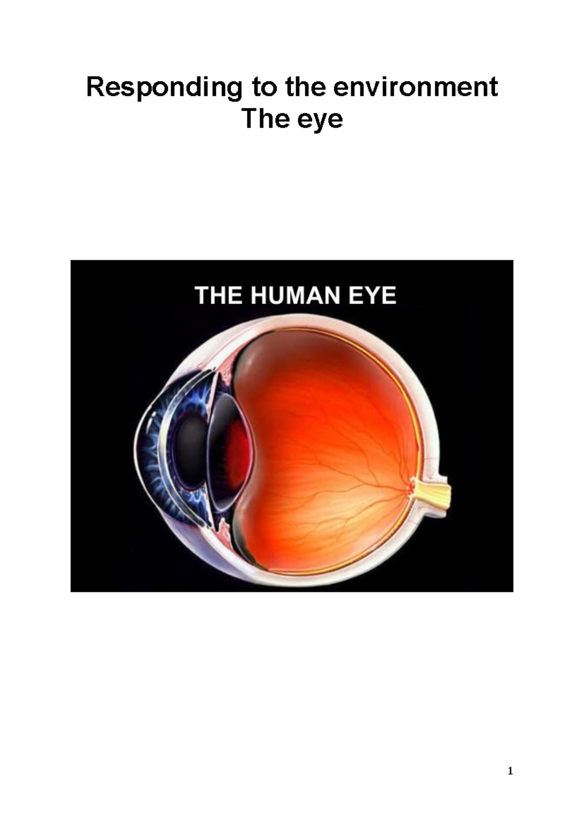 The Eye - Terminology and Visual Defects Notes (BIO 101) - Studocu