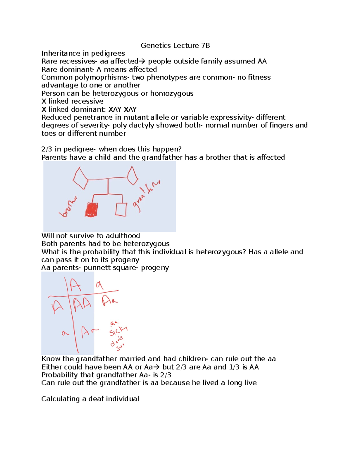 Genetics Lecture 7B: Inheritance Patterns and Mendelian Concepts - Studocu
