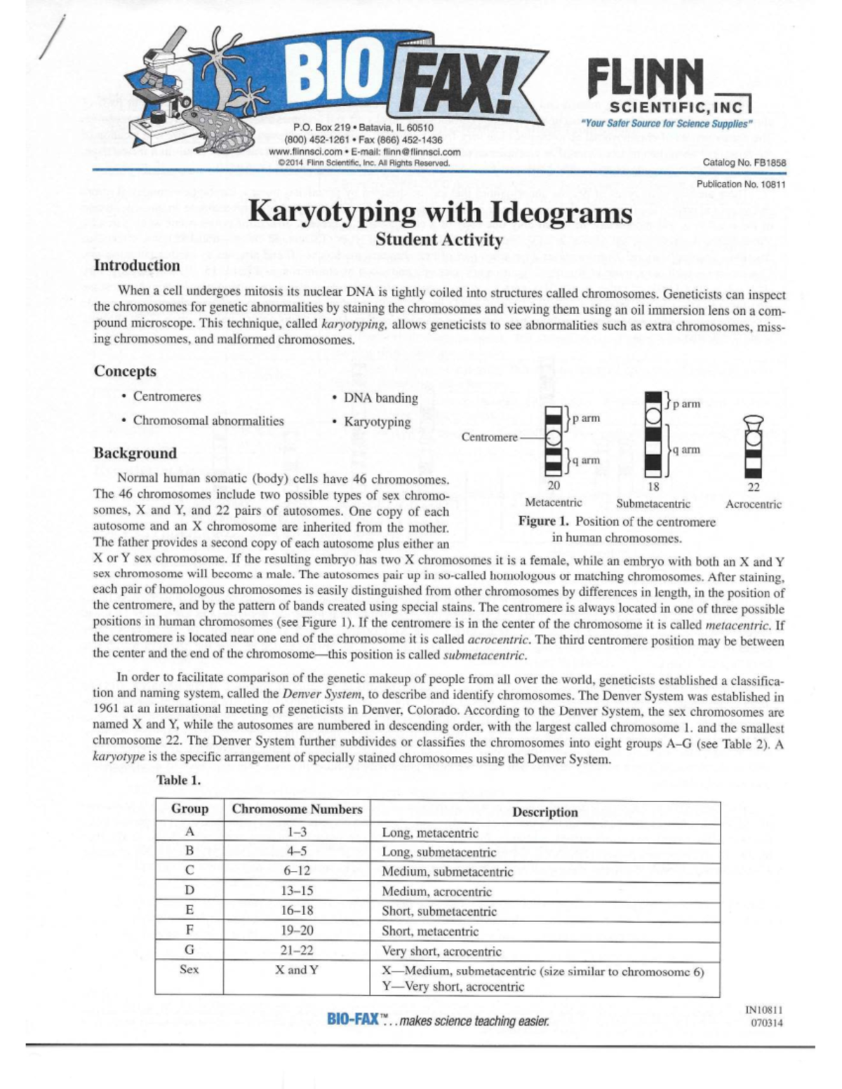 Karyotyping with Ideograms: Understanding Chromosomal Abnormalities ...