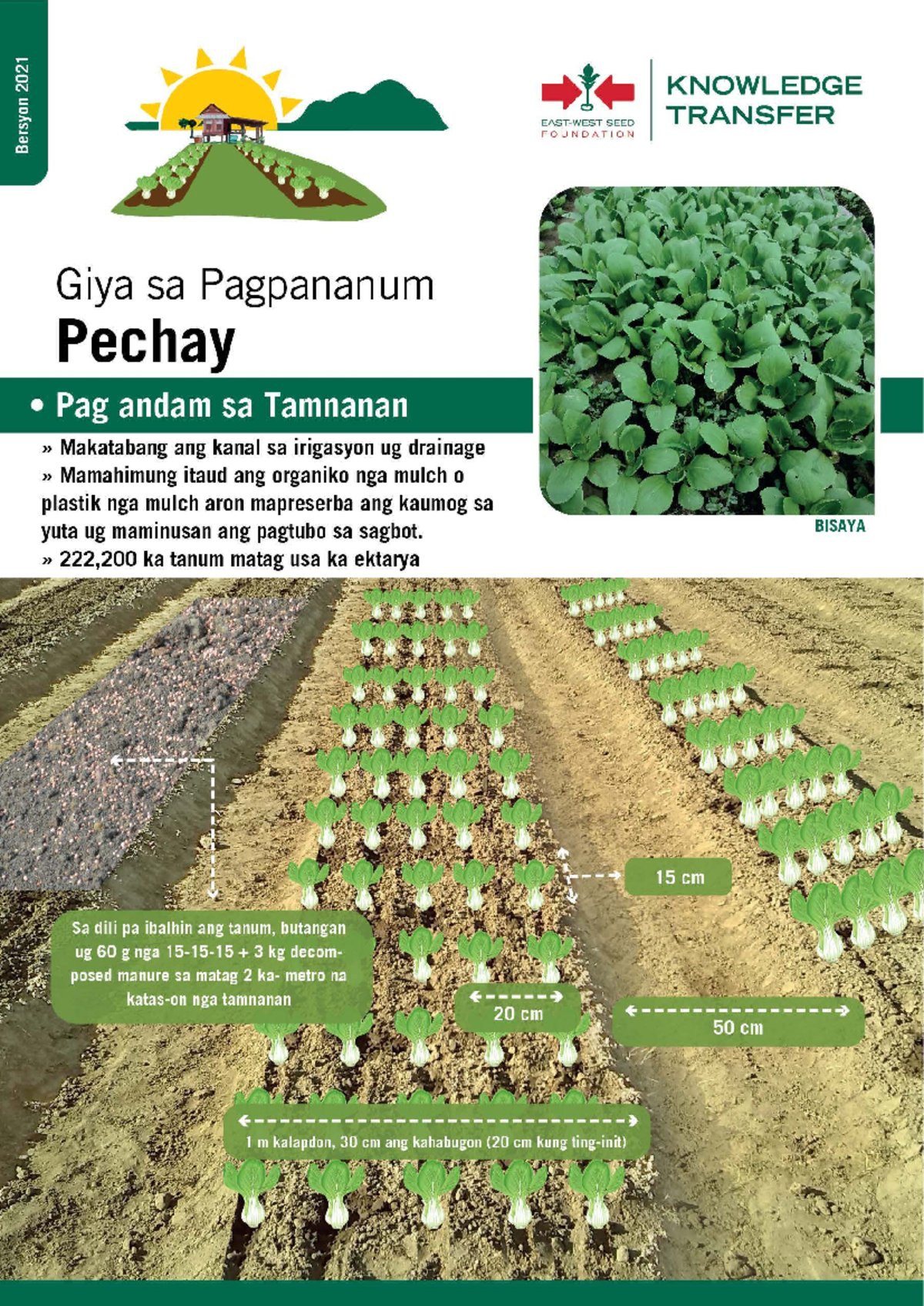 Pechay Production Guide: Best Practices and Recommendations - Studocu