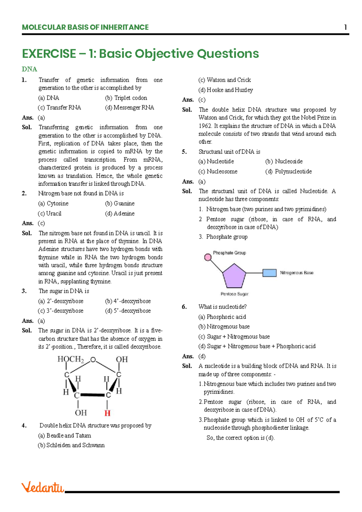 Molecular Basis of Inheritance: Exercise 1 - Objective Questions ...