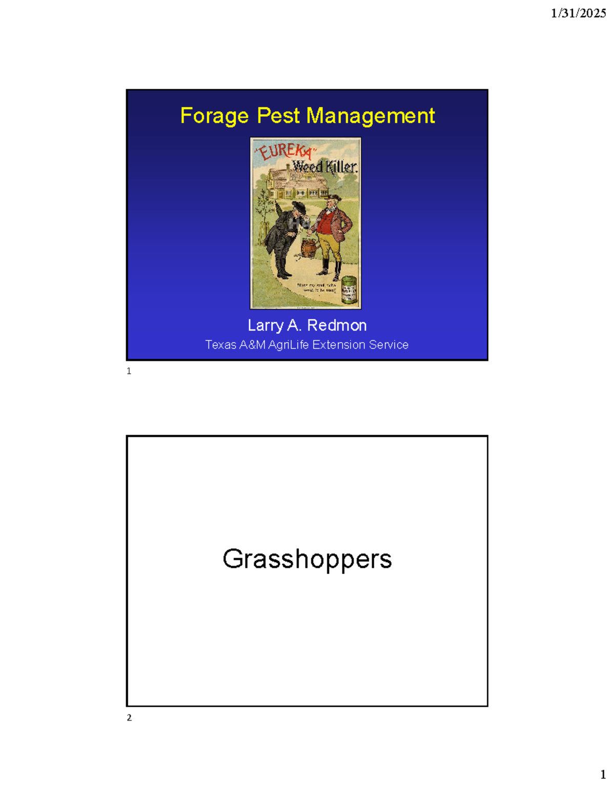 Insect Pest Management Strategies for Pastures and Hayfields - Forage ...