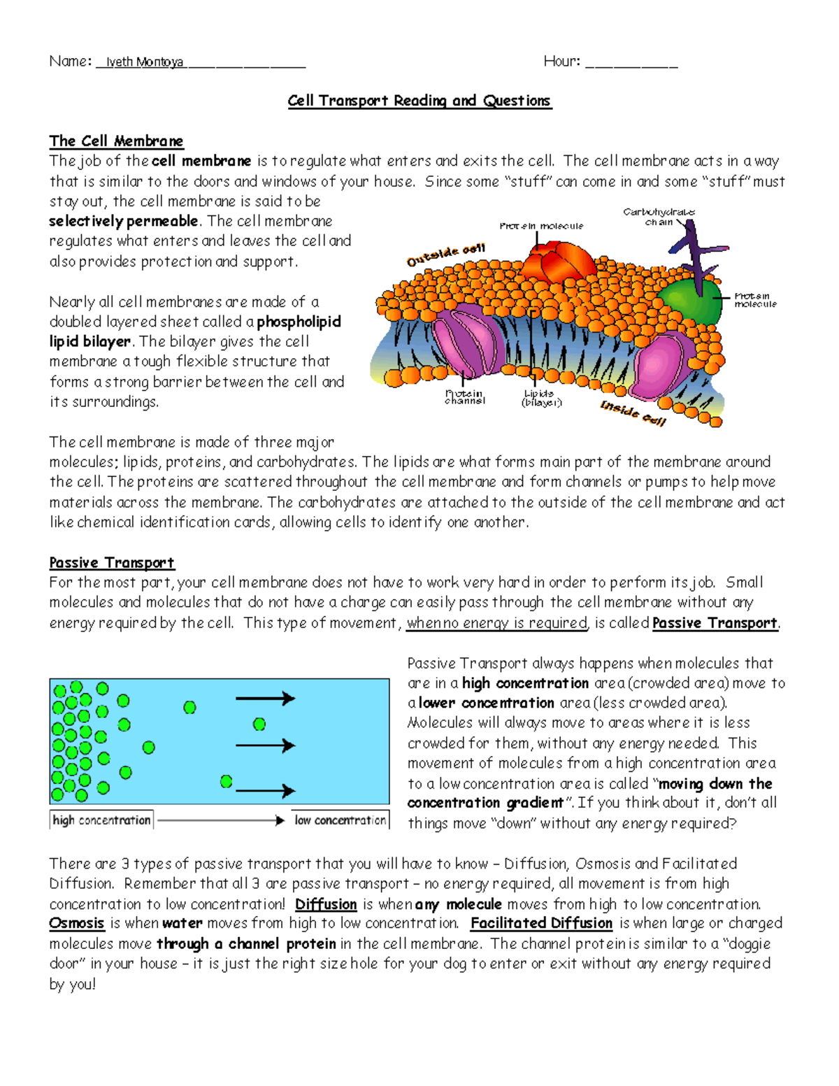 Kami Export - cell transport reading and questions- 25 (1) - Name