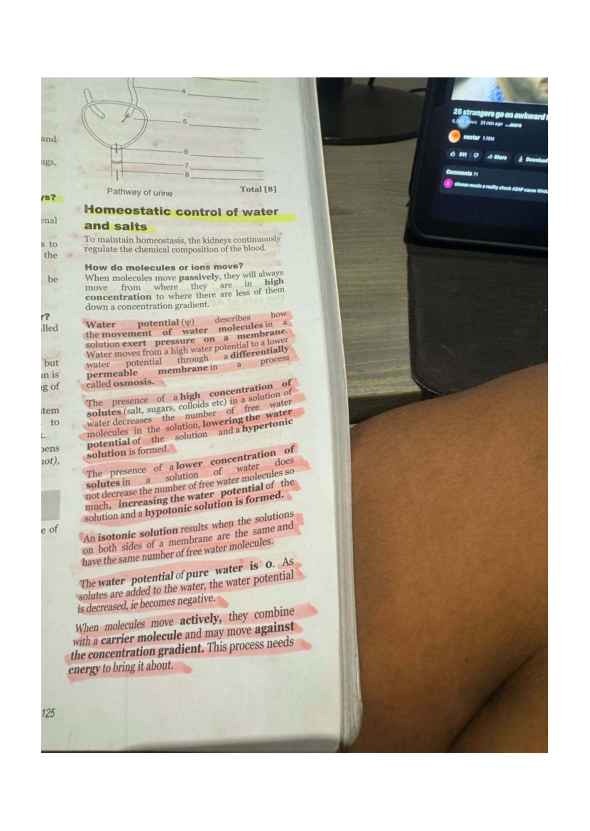 Final Exam Study Guide for Course Code 101: Urinary System & ADH - Studocu