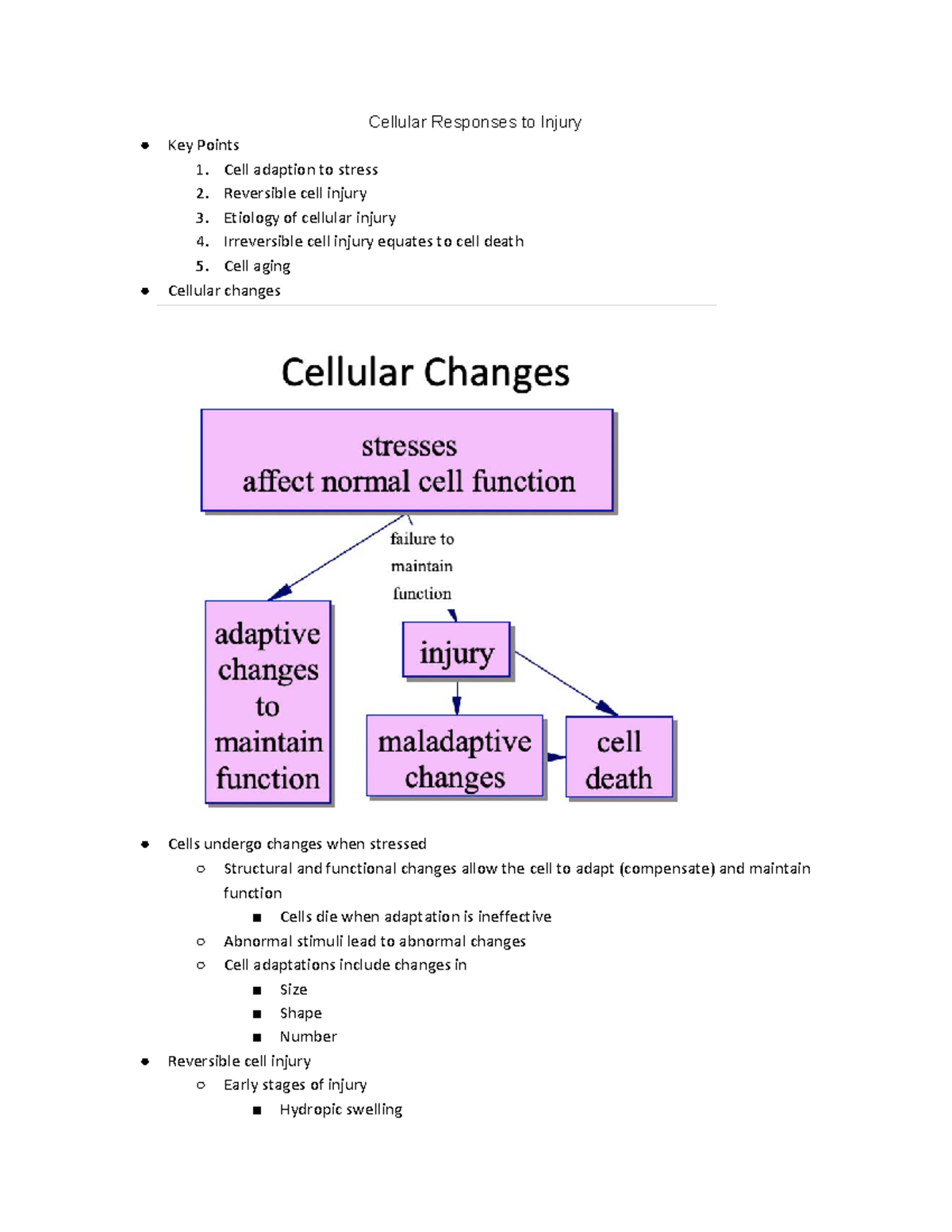02. Cellular Responses to Injury: Key Concepts and Mechanisms - Studocu