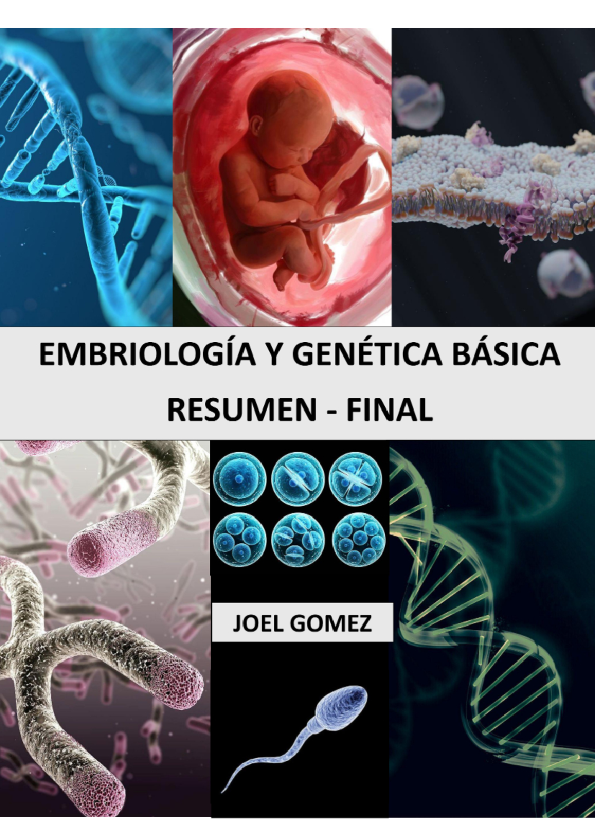 Resumen Final Embriología y Genética Básica - AD 101013 - Document Preview