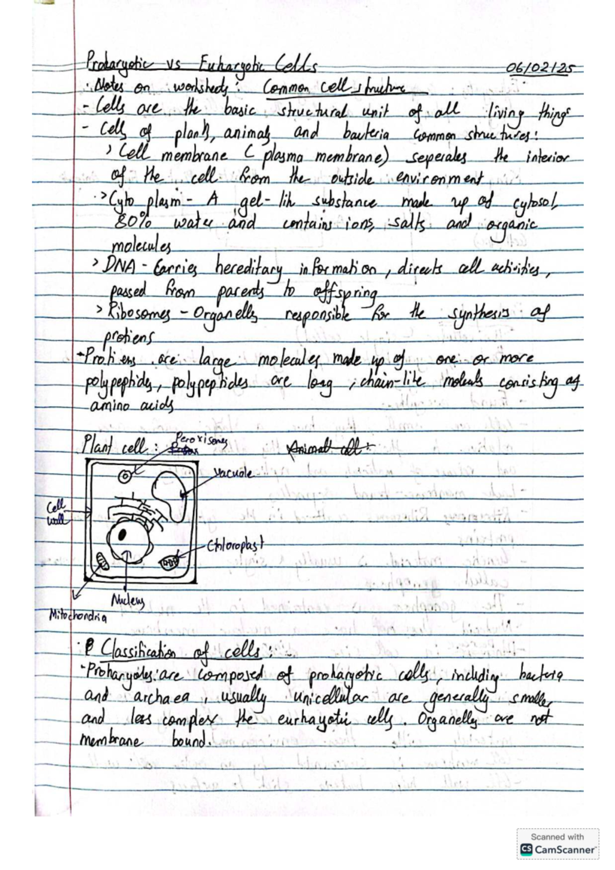 Biology Revision Test 1: Prokaryotic vs Eukaryotic Cells Notes - Studocu