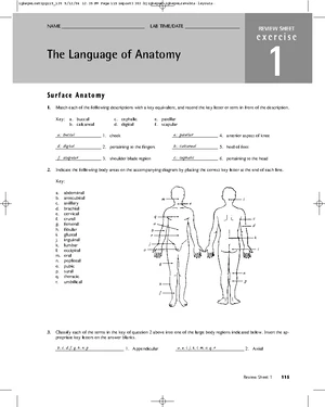 RT 105 Anatomy Final Exam Reviewer: Key Concepts and Structures - Studocu