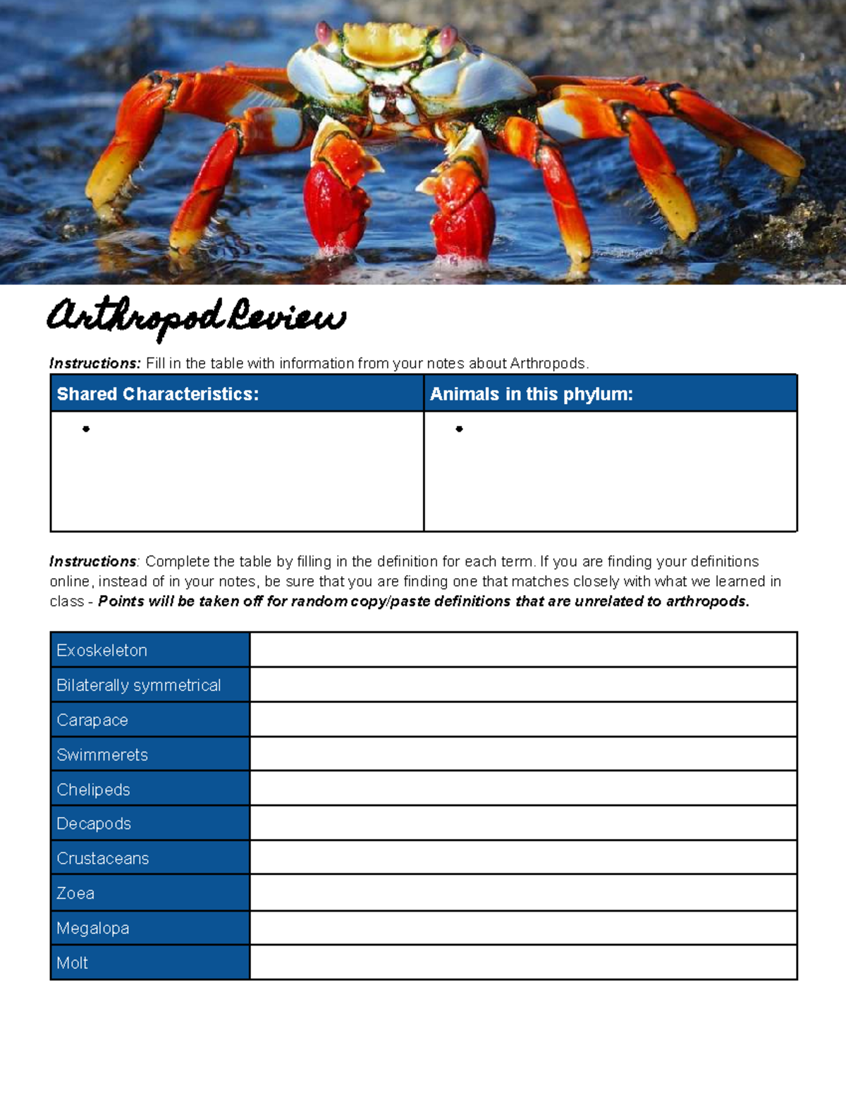 Arthropod Review Worksheet - Key Terms & Anatomy Guide - Studocu