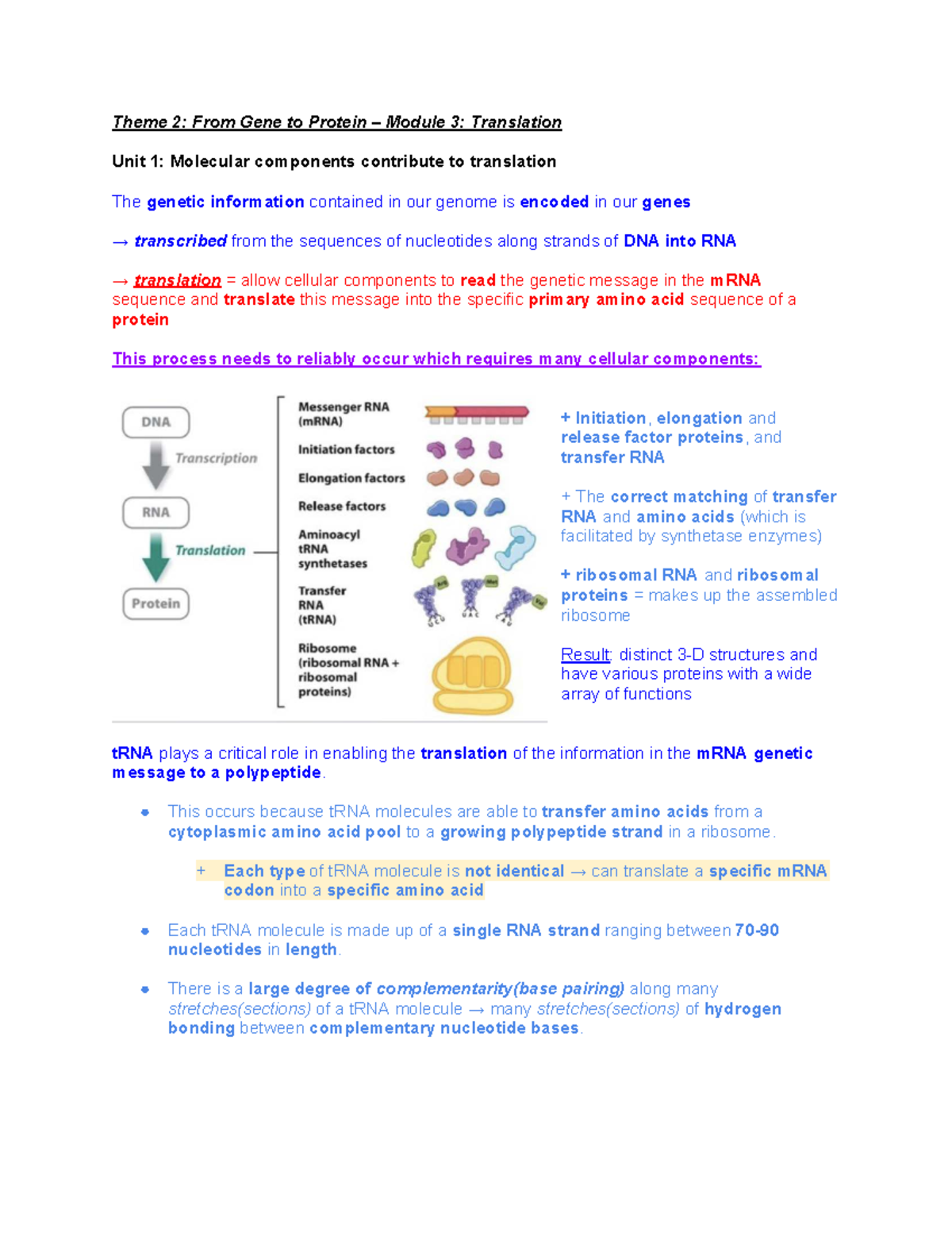 Theme 2: Module 3 Translation Notes - Molecular Components & Processes ...