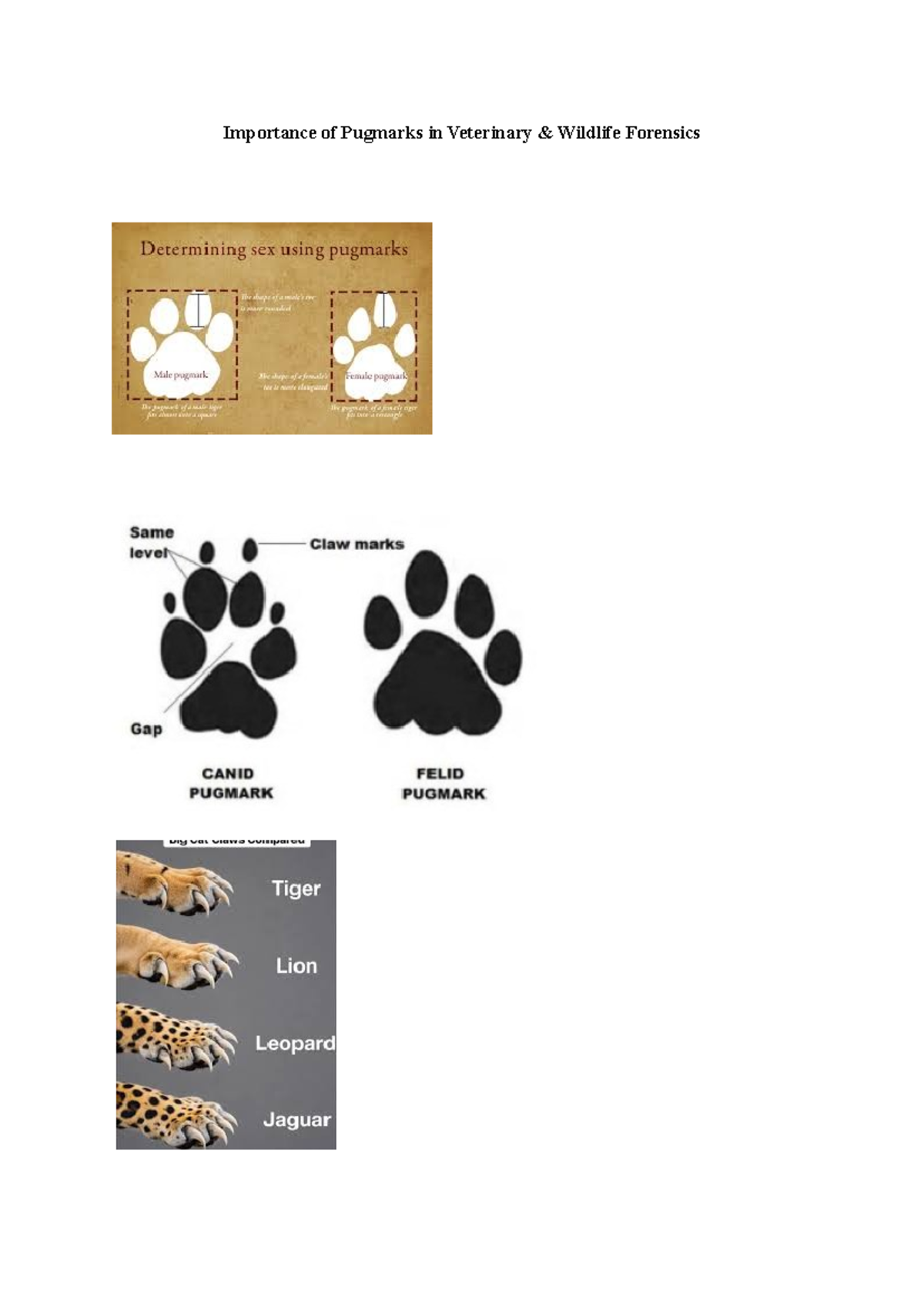 Module 4: Importance of Pugmarks in Veterinary Wildlife Forensics - Studocu