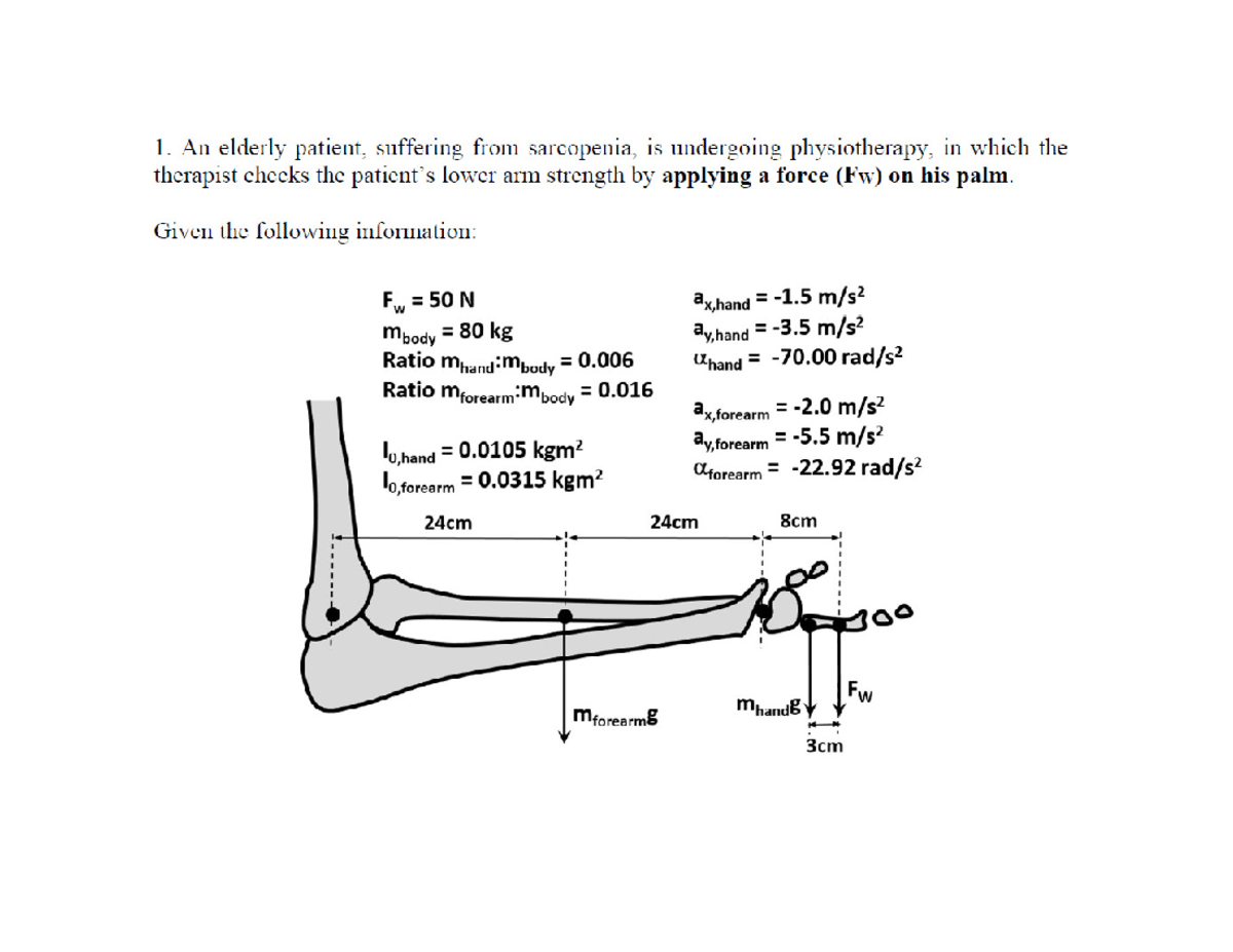 Raye [2024-25] BN2204 - Static and Dynamic Analyses of Muscle Moments ...