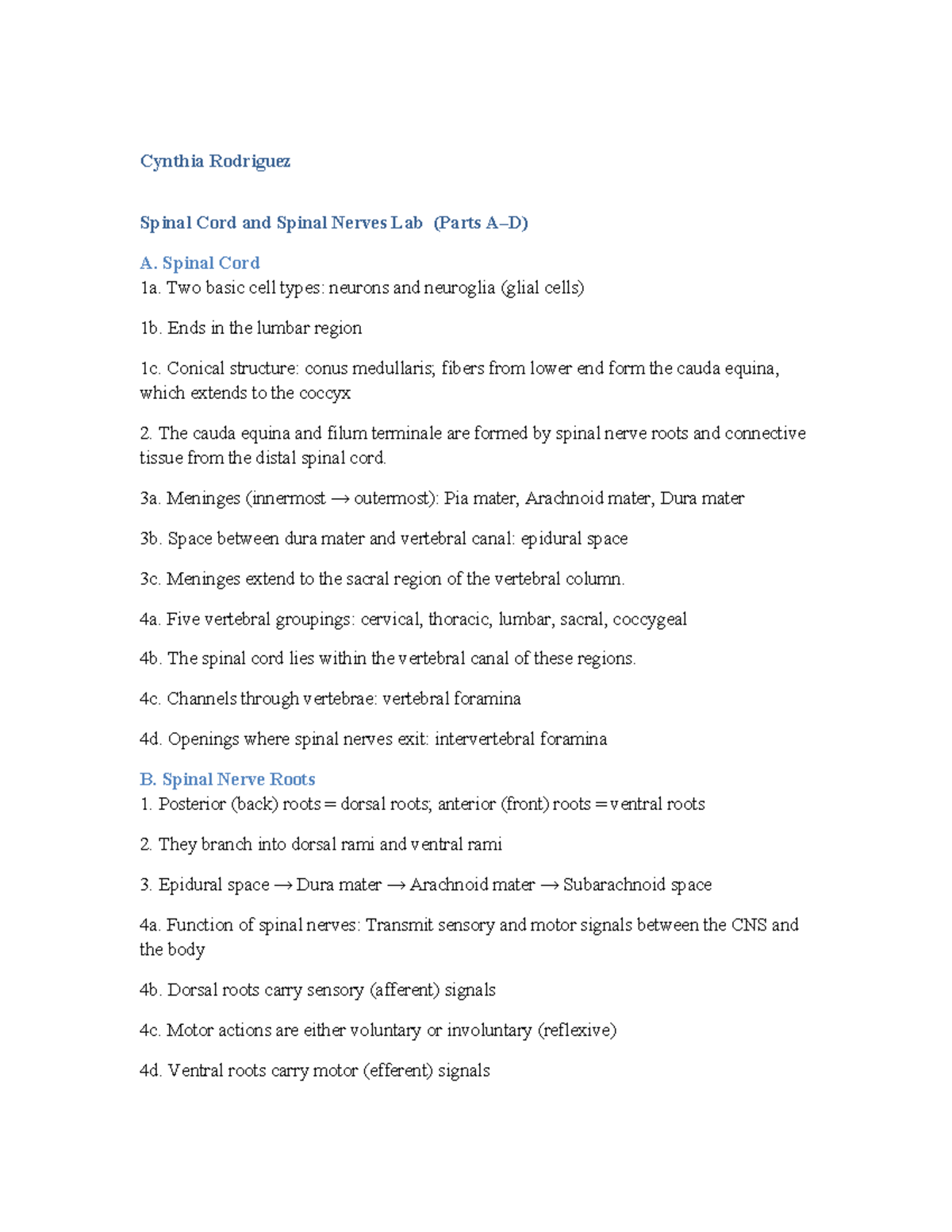 Spinal Cord and Spinal Nerves Lab (Answer Key Parts A-D) - Studocu