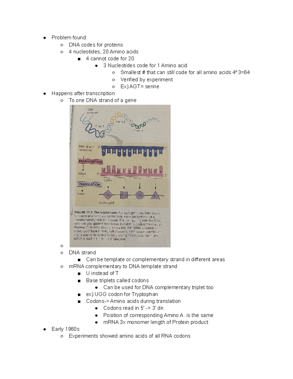Physics Equation Sheet for Quick Reference and Study Guide - Studocu