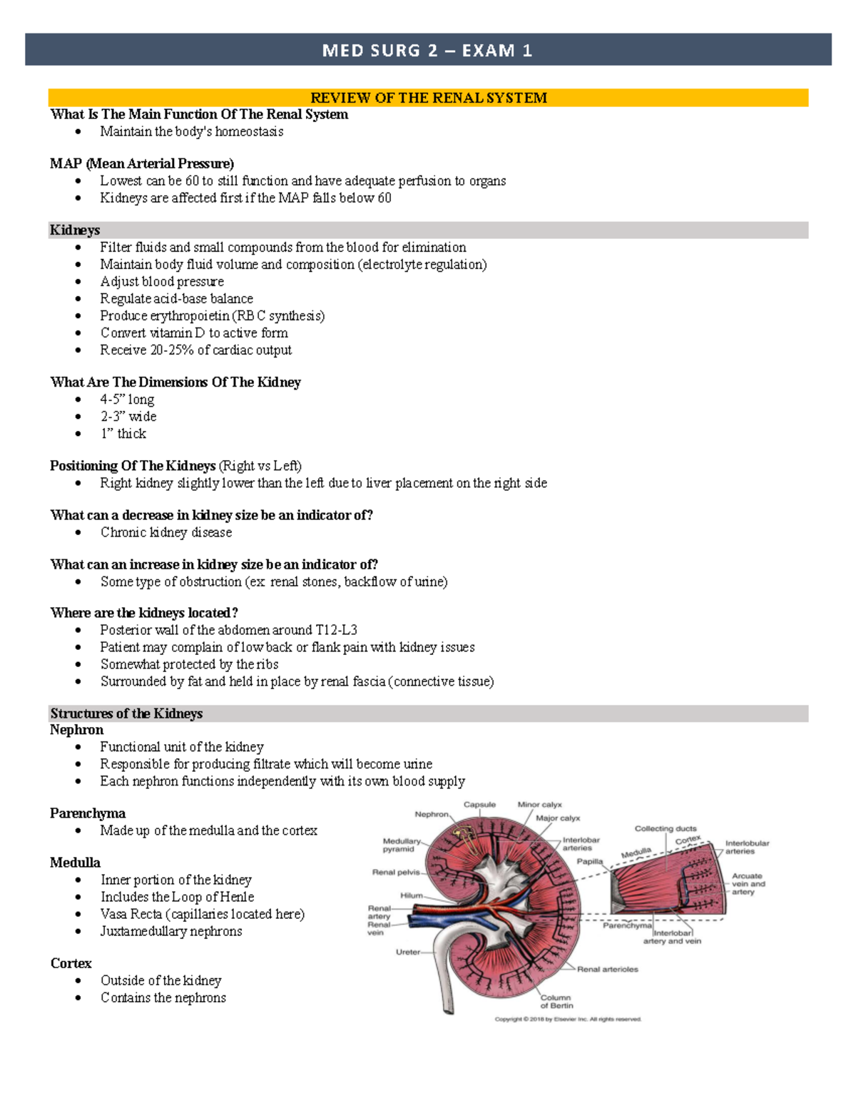 MED SURG 2 EXAM 1 RENAL SYSTEM REVIEW NOTES - Studocu