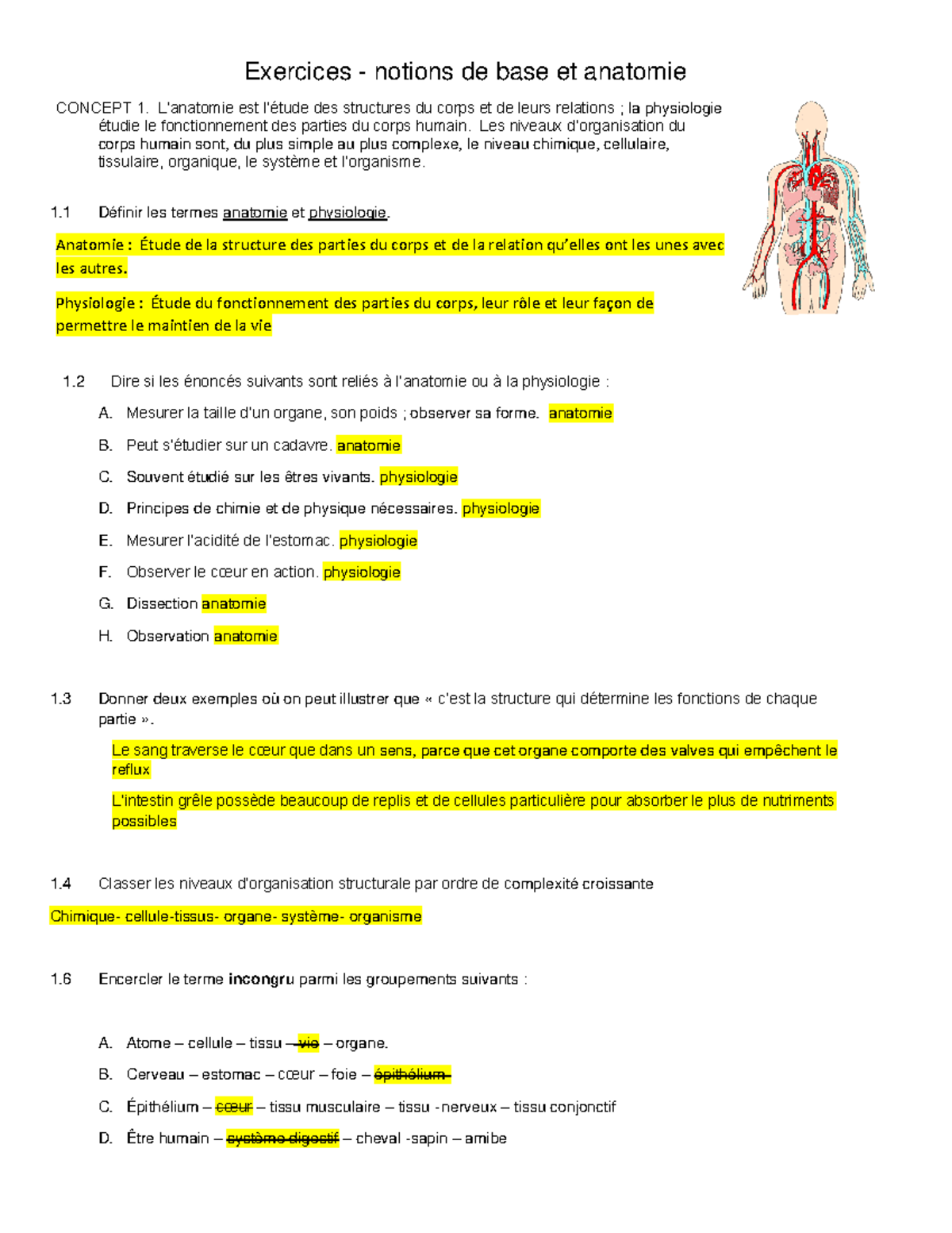 Activités 1 CH Corrigé - Bases de l'Anatomie et Physiologie du Corps ...
