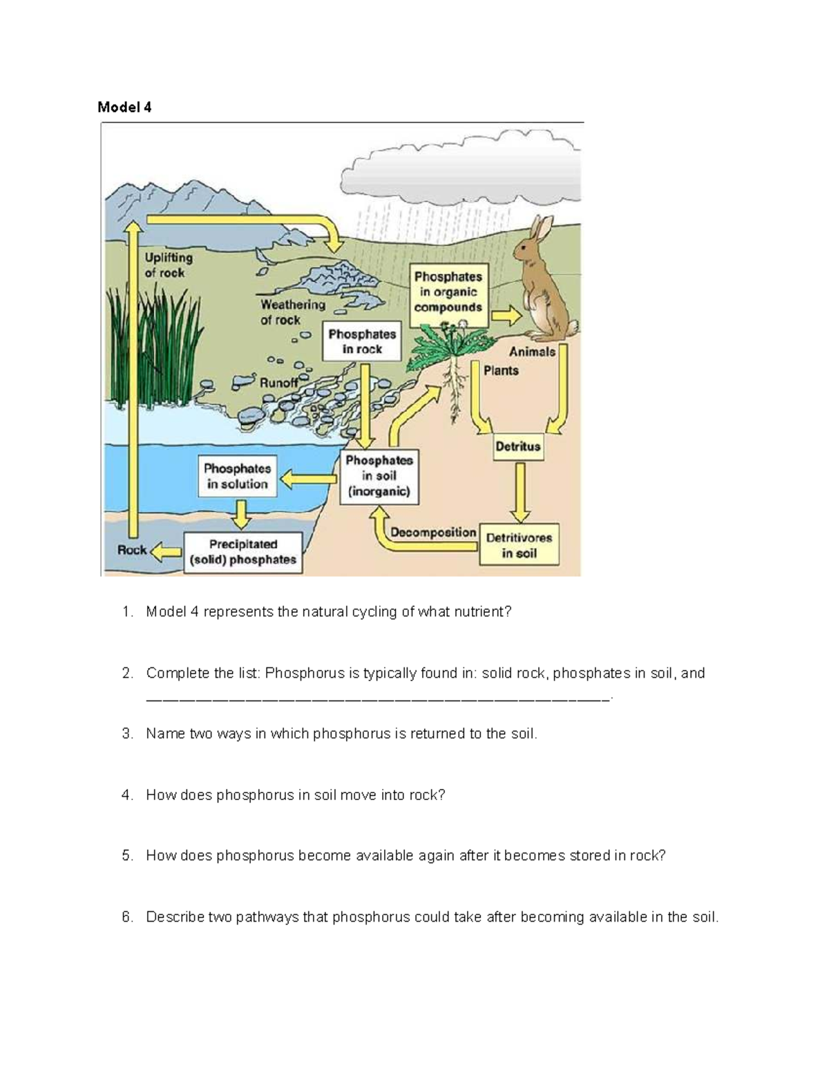 Pogil 2016 T: Phosphorus & Sulfur Nutrient Cycling Model 4 Analysis ...