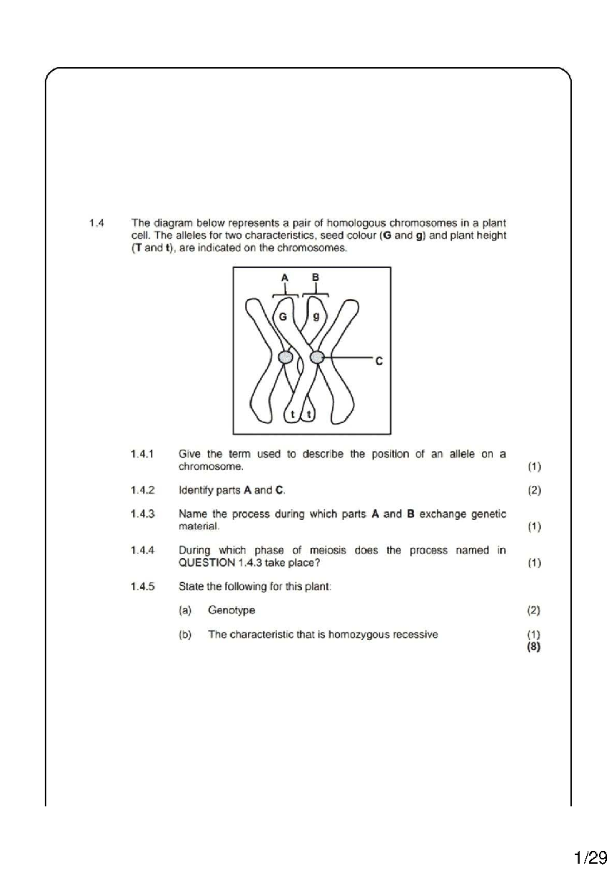 Meiosis Study Guide: Key Concepts and Diagrams (BIO101) - Studocu