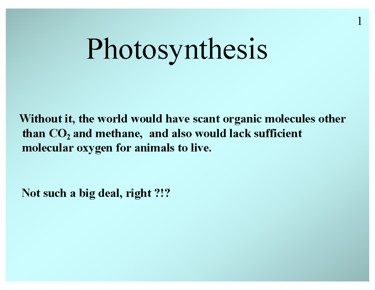 Photosynthesis Overview and Mechanisms - Studocu