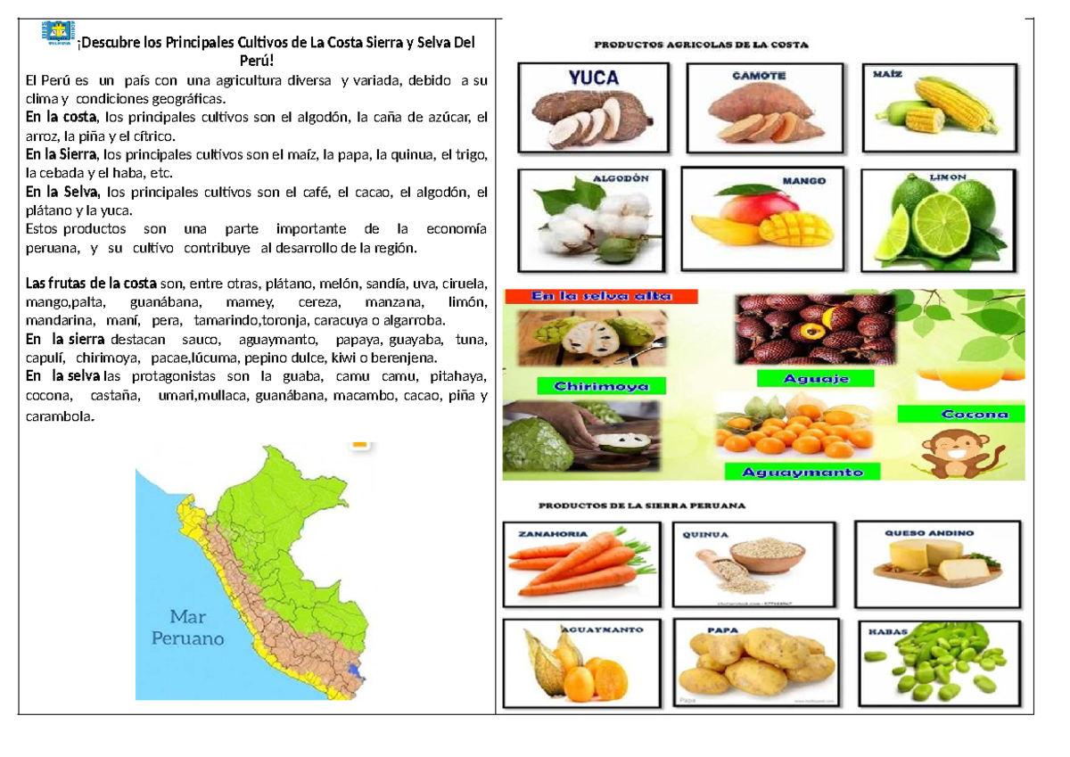 Ficha de Ciencia: Principales Cultivos de la Costa, Sierra y Selva del Perú - Document Preview